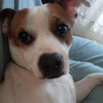Sherry Benedict - @benedict.sherry - Instagram