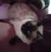 Sherie Bellis-bennett - Facebook