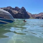 Sbuck - @sherri_buckleymerriman - Instagram