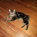 Sherri Burnham - Facebook