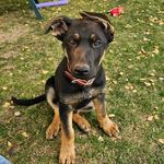 Sherry Burnham - @sherry.burnham.3 - Instagram