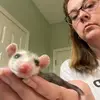 Sherri Camp - @sherrihcamp - TikTok