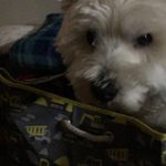 Sherry Dowd - @sherry__dowd - Instagram