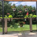 Sheri Hansen Ebert - @geezergrl - Instagram