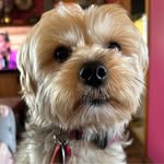 Sherri Eitel - @sherrileitel - Instagram