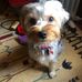 Sherri Eitel - Facebook