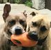 Sheri Eller - Facebook