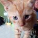 Sherri Elliott - Facebook