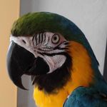 Sherri Elliott - @sherri.elliott.37 - Instagram