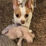 Sherri Endsley - @endsleysherri - Instagram