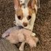 Sherri Endsley - Facebook
