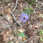 Sheri Dalton Epling - @sheridaltonepling - Instagram