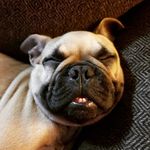 Sherri Fields - @sherri_ross_fields - Instagram