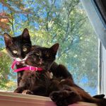 Sherry Flint - @flint.sherry - Instagram
