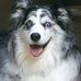 Sheri Frederick - Facebook