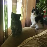 Sherri Giles Shreve - @shreve3860 - Instagram