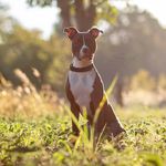 Sherri Gore - @geodemeter - Instagram