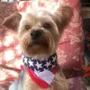 Sherrie Gore900 - @sherriegore900 - TikTok