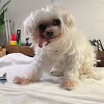 Sherry Heller - @sherleon47 - Instagram