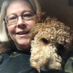 Sherri Hendricks - @slhendridl - Instagram