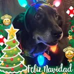 Sheri Higgins - Facebook