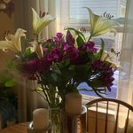 Sherri Higgins - @sherrihiggins - Instagram