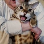 Sherri Hinkle - @sherhink - Instagram