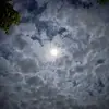 sherrihinkle3478 - @sherrihinkle3478 - TikTok