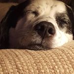 Sherri Hurst - @hurstsl197 - Instagram