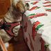 Sherrie Lynn Hutton - Facebook