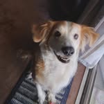 Sherri Ingram - @singram6067 - Instagram