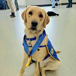 Sherri Ingram Bryant - @sherribpups - Instagram