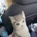 Sherri Irons - Facebook