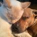 Sherri Jacobs - Facebook