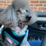 Sheri Kaplan - @sheri.kaplan.5 - Instagram