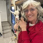 Sherri Kaplan - @skapkap - Instagram