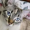 Sherri Keith - @sherri.keith - TikTok