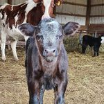 Sherri Kidd Nave - @sherri_kidd_na - Instagram