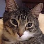 Sherri Lanier Fortenberry - @sherrilanierfortenberry - Instagram