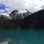 Sherri Linka - @sherrilinka - Instagram
