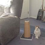 Sherrie Smith Lloyd - @sherrie.lloyd - Instagram
