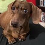Sherri Hood Malone - @sherrimalone59 - Instagram