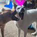 Sherri Marcus Gilbert - Facebook