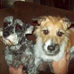 Sherri Markle - @grammabrat - Instagram