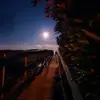sherrirenemarkle - @sherrirenemarkle - TikTok