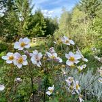 Sherri May - @sherri_may - Instagram