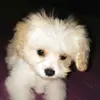 Sherry Maynard - @sherrymaynard1 - TikTok