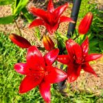 Sherri McGee Rogers - @sherri_923 - Instagram