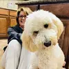 Sherri McGhee Fredieu - @sherri.mcghee.fre - TikTok