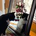 Sherri Meadows - Facebook